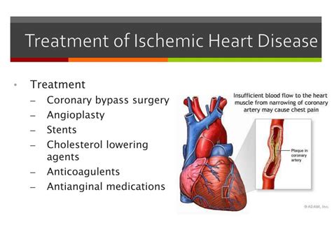 PPT - Cardiovascular System – Heart and Blood Vessels PowerPoint ...