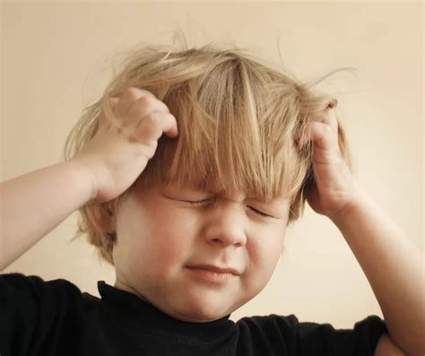 Symptoms and Head Lice Treatment - Riverview Health