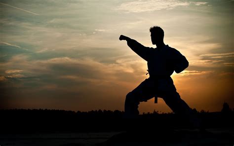 Karate Wallpaper Hd Database 1440x900PX ~ Wallpaper Karate Images ...