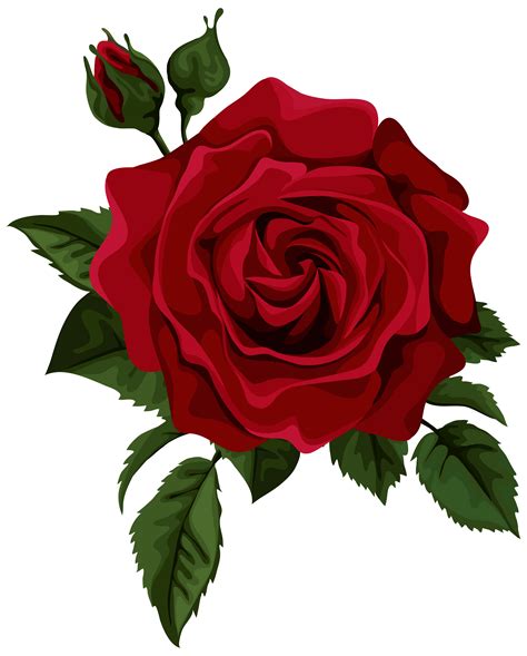 Download Roses Png Clipart Rose Clip Art Rose Flower Red Roses Corner - Riset