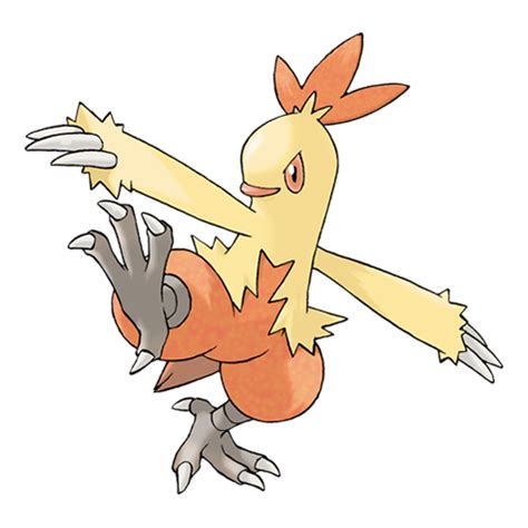 Combusken | Pokédex