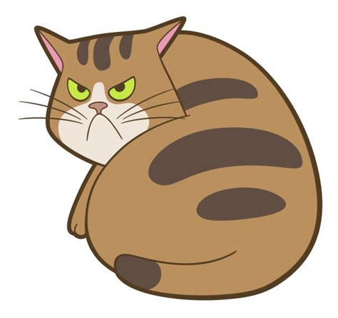 14,500+ Angry Cat Stock Illustrations, Royalty-Free Vector Graphics & Clip Art - iStock