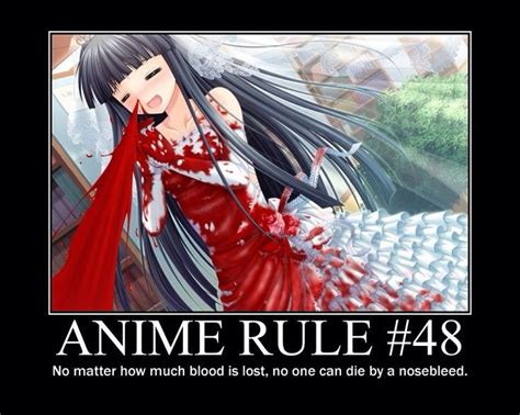 Random Memes | Wiki | Anime Amino