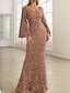 Women's Sequin Dress Prom Dress Trumpet Mermaid Dress Sequins V Neck ...