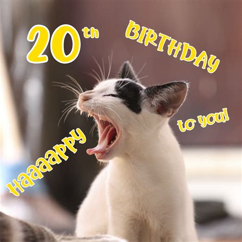 Free 20th Years Happy Birthday Image With Funny Cat - birthdayimg.com