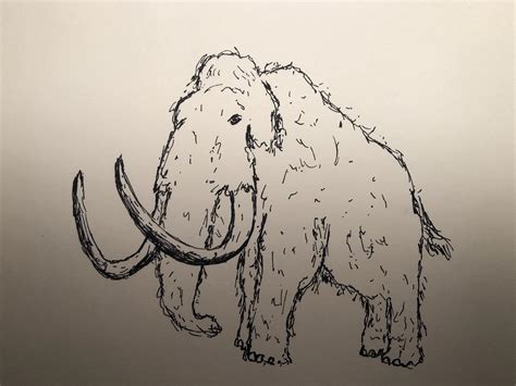 What do you think of my drawing of a Woolly Mammoth? : drawing