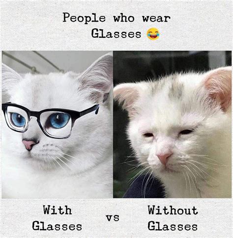 The story of specs | Funny glasses, Silly jokes, Cat memes