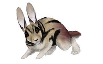 Annamite striped rabbit - Alchetron, the free social encyclopedia