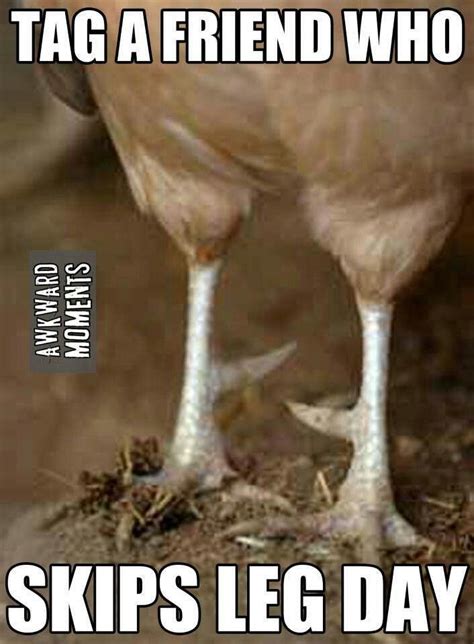 Chicken legs !!! Gym Memes, Gym Humor, Leg Day Memes, Mens Braids ...