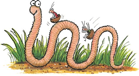 Download Picture - Superworm Julia Donaldson Characters Clipart (#801932) - PinClipart