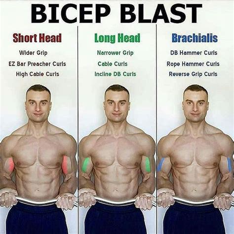 BICEPS BLAST | Short Head | Long Head | Brachialis | Biceps workout, Workout routine, Weight ...