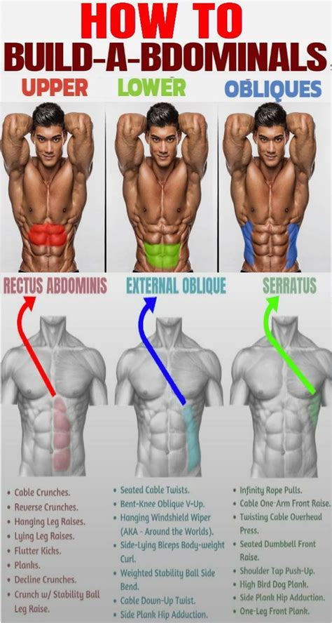 Pin by LuuisZitate Fitness Motivation on Muscle Building | Muscle groups to workout, Oblique ...