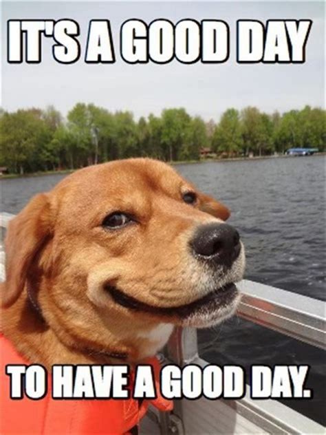 101 "Have a Great Day" Memes - "It's a good day to have a good day." | Good day meme, Funny ...