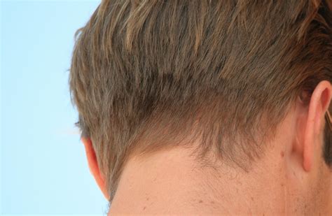 Man With Hair Cut Short Free Stock Photo - Public Domain Pictures