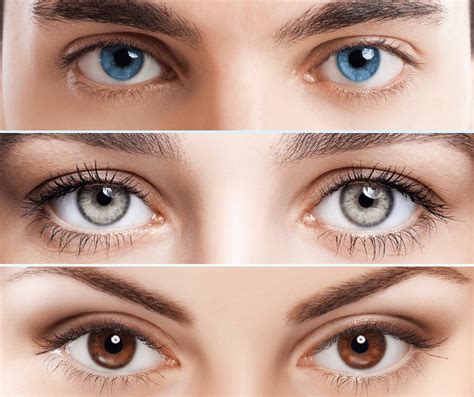 What determines eyecolor?: Marina Del Rey Optometry: Optometrists