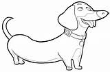 Dachshund Coloring Pages  Best For Kids sketch template