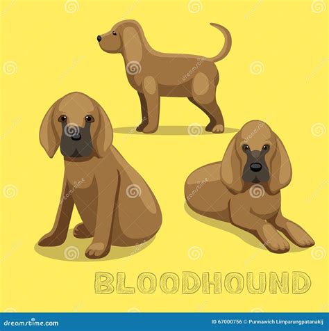 Dog Bloodhound Cartoon Vector Illustration Stock Vector - Illustration of blood, mammal: 67000756