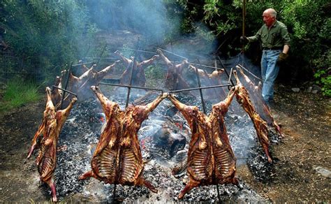 Cordero patagónico: Un saludable bocado gourmet de exportación | Patagonia