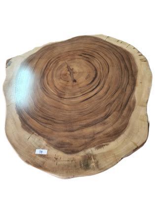 Wholesale Funyards Australia Unique Saur Wood Round Coffee Table, generous 95cm across one of ...
