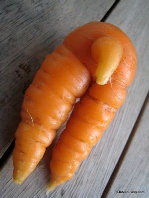 Strange looking carrot I dug up has two legs and a .... (!) Oh my!!! | Fusian Living | Unique ...