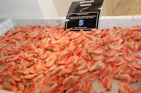 China, a huge and growing market for prawns - Eurofish