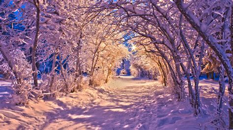 HD Nature Landscapes Winter Snow Christmas Sidewalk Roads Lights White ...