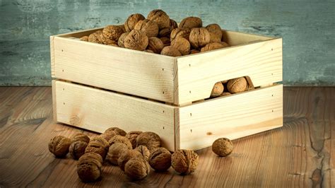 Walnuts Weight Loss Study Suggest They Change How You Crave Fat