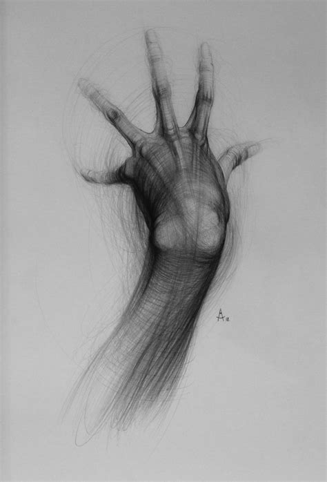 hand. Pencil. A2. 2018 | Anatomy drawing, Anatomy sketches, Drawings