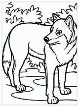 Wolf Child  Coloring Pages sketch template