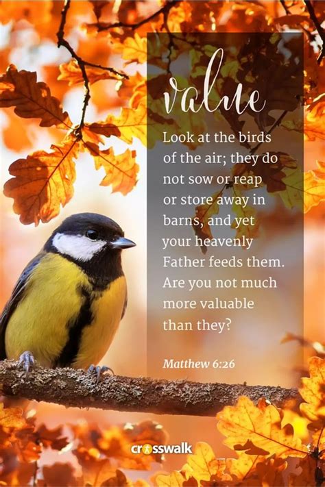 15 Beautiful Fall Bible Verses for the Autumn Season - Bible Study