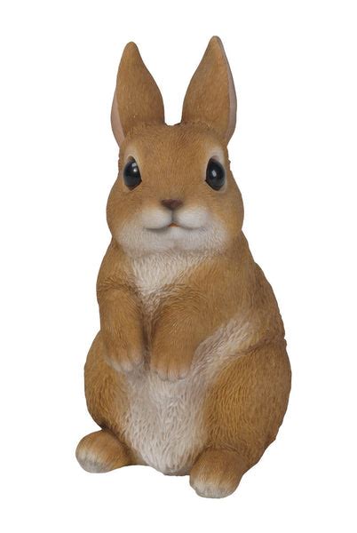 Buy Standing Rabbit Statue - Small for Sale Online in USA & Canada. – OakValleyDecor