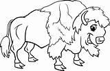 Buffalo Coloring Pages For Kids At GetColoringscom  Free Printable sketch template