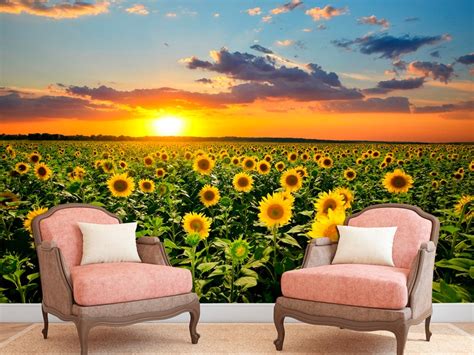 Sunflower Wallpaper Peel Stick Wallpaper Summer Wall Art, Sunflower Decor Removable Wallpaper ...