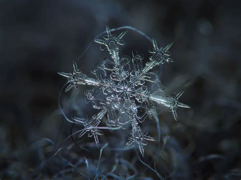 Unbelievable Close-Up Photos Of Snowflakes Reveal A Side Of Winter You've Never Seen | HuffPost