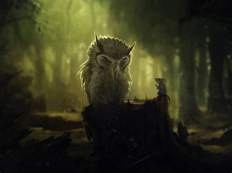 wallpaper: Funny Owl