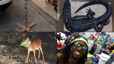 Guns, Gators, Festivus Part of Florida’s Weird Year – NBC 6 South Florida