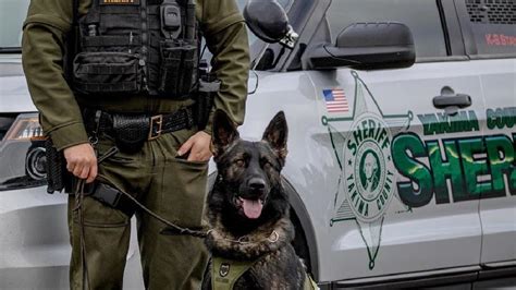 Yakima Sheriff's office adds new K-9 officer | KIMA