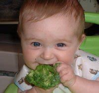 Baby Led Weaning - Let your babies feed themselves