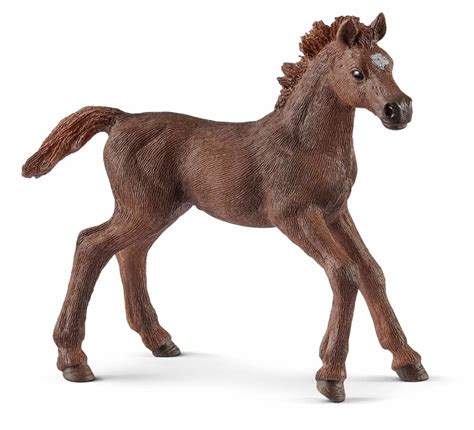 Poulain Pur-sang anglais - figurine Schleich 13857 Horse Club