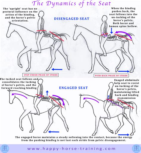 HHT Dressage Diagrams