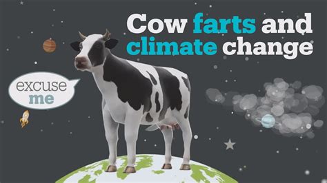 Cow farts and climate change - YouTube