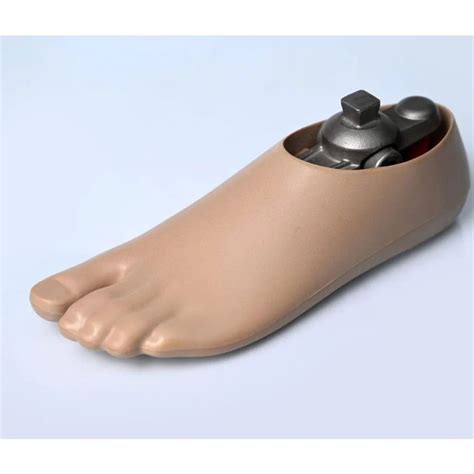 Single Axis Prosthetic Foot, Size: Small at Rs 3800 in Pune | ID ...