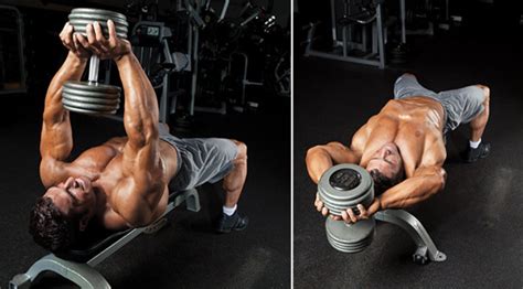 The Best Dumbbell Chest Exercises | SoPosted.com