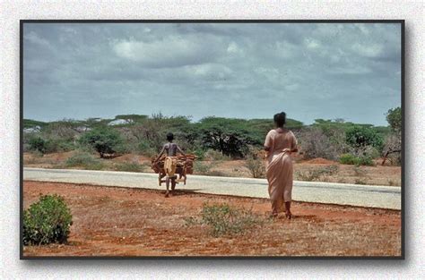 Flickriver: Photos from Jilib, Jubbada Dhexe, Somalia