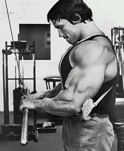 Pics of Arnold's triceps - Bodybuilding.com Forums