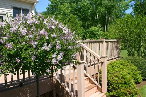 The right combination of deck or patio with plantings is key when ...