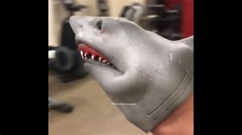 Shark Puppet at the Gym!! - YouTube