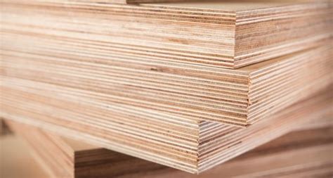 How High Can You Stack Plywood? - The Habit of Woodworking