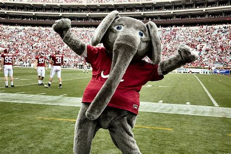 Big AL! Alabama Mascot, University Of Alabama, Alabama Baby, Alabama ...
