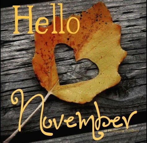 #Novembre #November ♡🍁 | Welcome november, Hello november, Sweet november